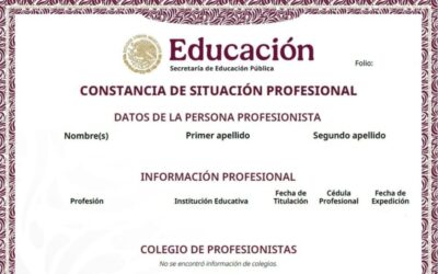 ¿Qué es la Constancia de Situación Profesional y cómo tramitarla?